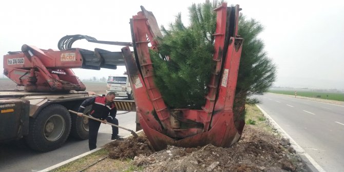 buyuksehir-belediyesi-ekipleri-tarafindan-sehir-genelinde-park-ve-mesire-alanlarinda-bulvar-kavsak-ve-refujlerde-peyzaj-ve-cevre-duzenleme-calismalari-gerceklestiriliyor.jpeg