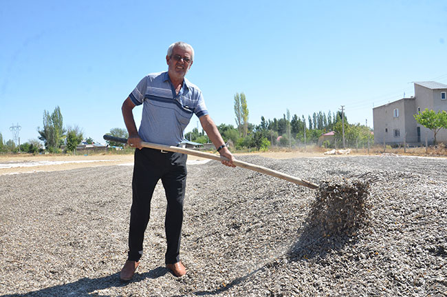 elbistan’da-‘siyah-altin’-hasadi-basladi1.jpg