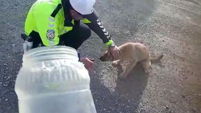 kafasina-gecirilen-bidonla-dolasan-kopegi-polis-kurtardi1.jpg