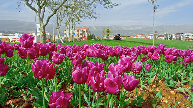 kahramanmarasin-cehresi-guzellesiyor2.jpg