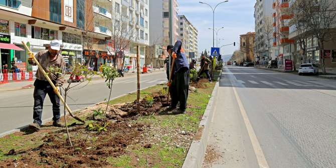 kahramanmarasta-cadde-ve-bulvarlar-bitkilerle-donatiliyor.jpg