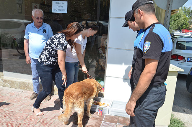 polis,-sokak-hayvanlarini-unutmadi1.jpg